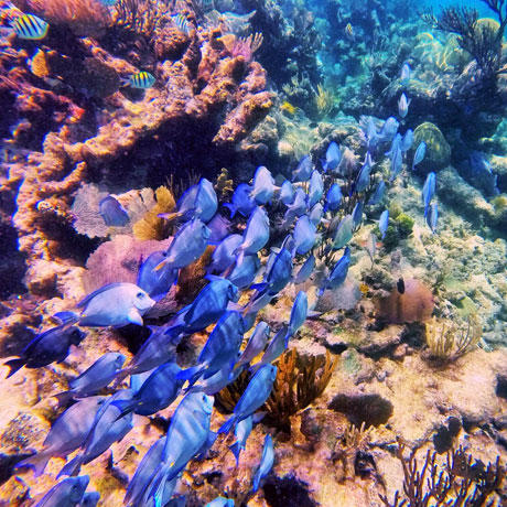 Things To Do In Riviera Maya